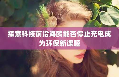 探索科技前沿海鸥能否停止充电成为环保新课题