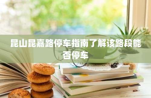 昆山昆嘉路停车指南了解该路段能否停车