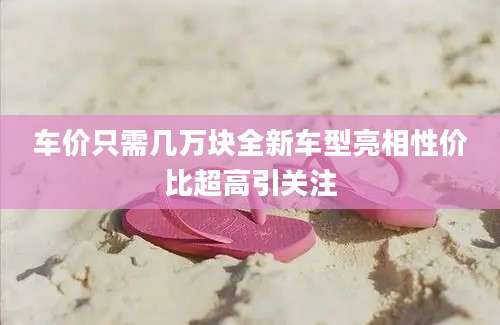 车价只需几万块全新车型亮相性价比超高引关注