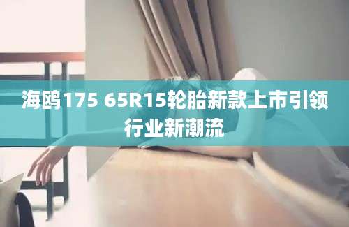 海鸥175 65R15轮胎新款上市引领行业新潮流