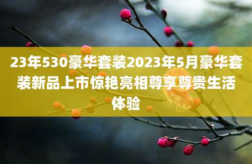 23年530豪华套装2023年5月豪华套装新品上市惊艳亮相尊享尊贵生活体验
