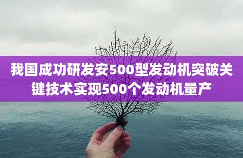 我国成功研发安500型发动机突破关键技术实现500个发动机量产