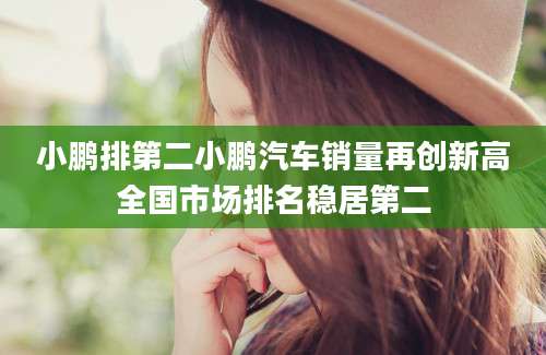 小鹏排第二小鹏汽车销量再创新高全国市场排名稳居第二