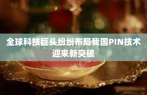 全球科技巨头纷纷布局我国PIN技术迎来新突破