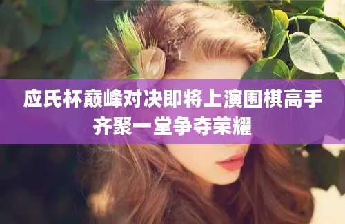 应氏杯巅峰对决即将上演围棋高手齐聚一堂争夺荣耀