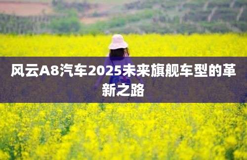 风云A8汽车2025未来旗舰车型的革新之路