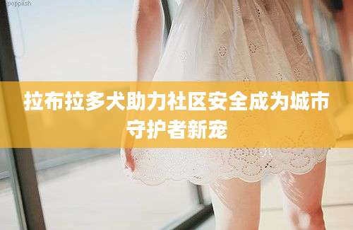 拉布拉多犬助力社区安全成为城市守护者新宠