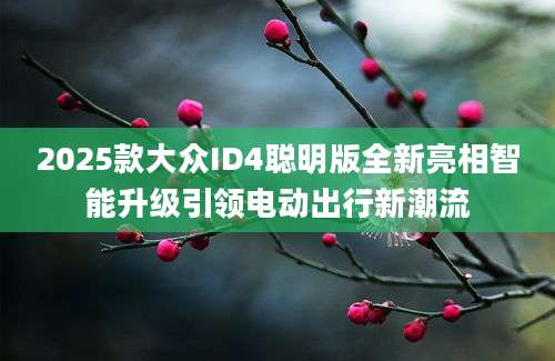 2025款大众ID4聪明版全新亮相智能升级引领电动出行新潮流