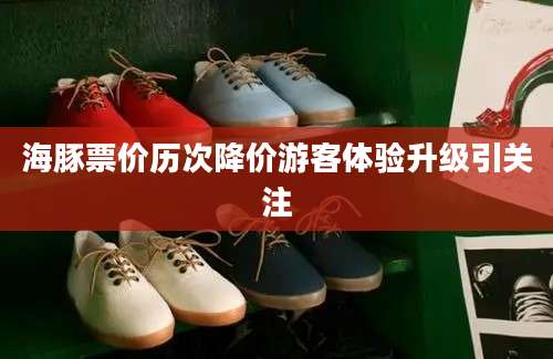 海豚票价历次降价游客体验升级引关注