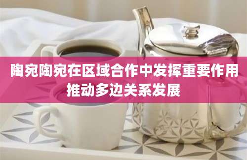陶宛陶宛在区域合作中发挥重要作用推动多边关系发展